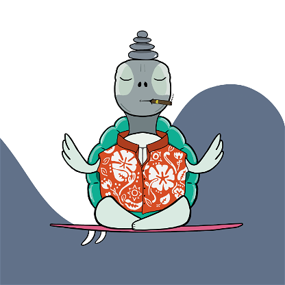 Zen Turtle 0098