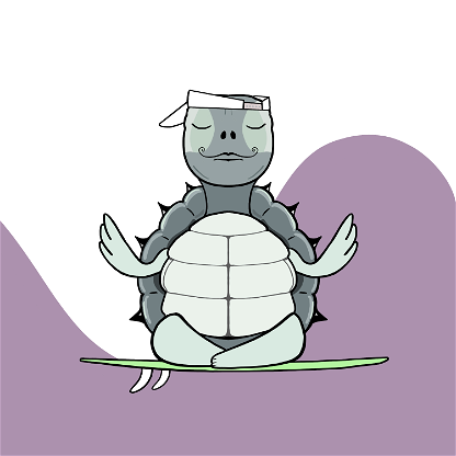 Zen Turtle 0175