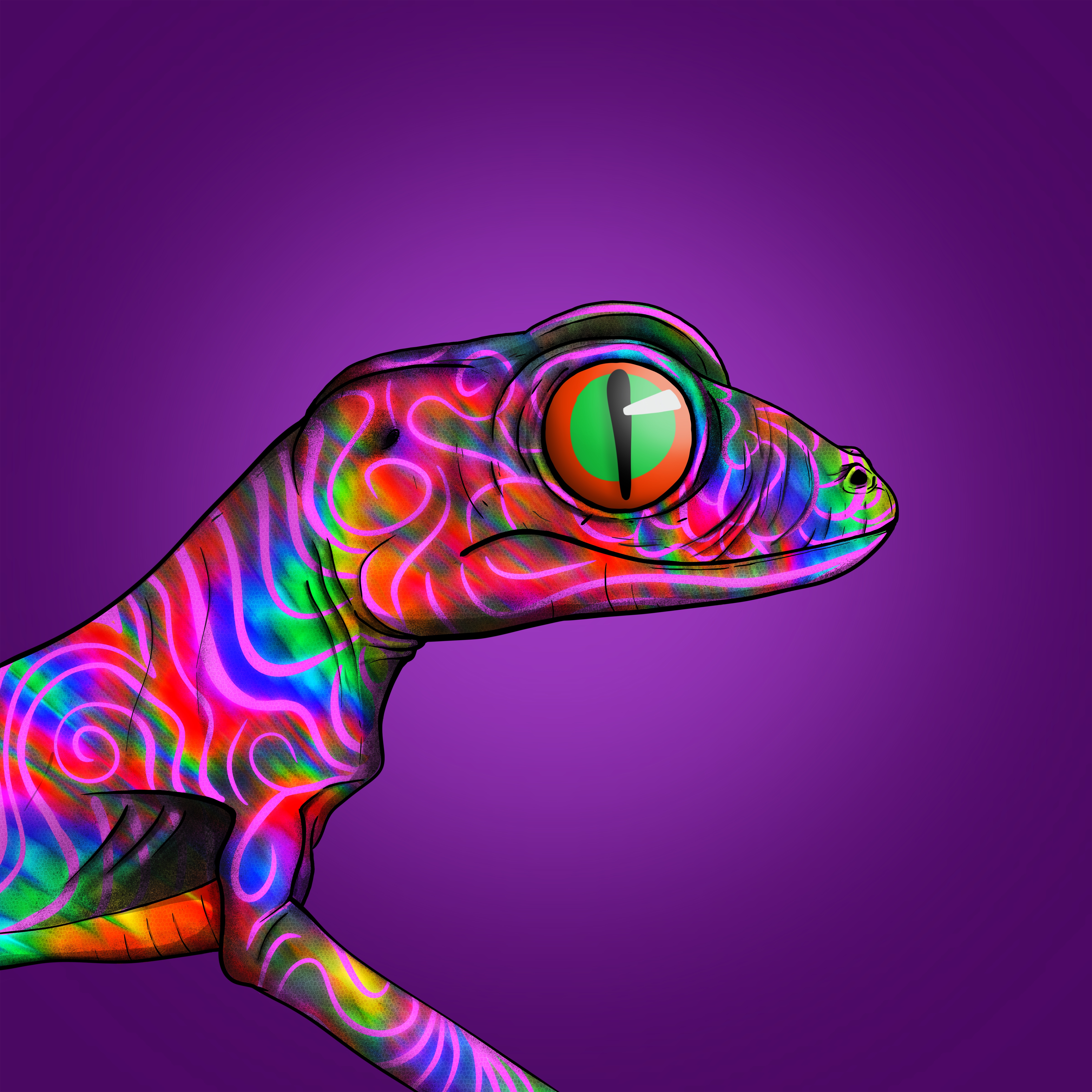 Geko 0573 NFT on Algorand