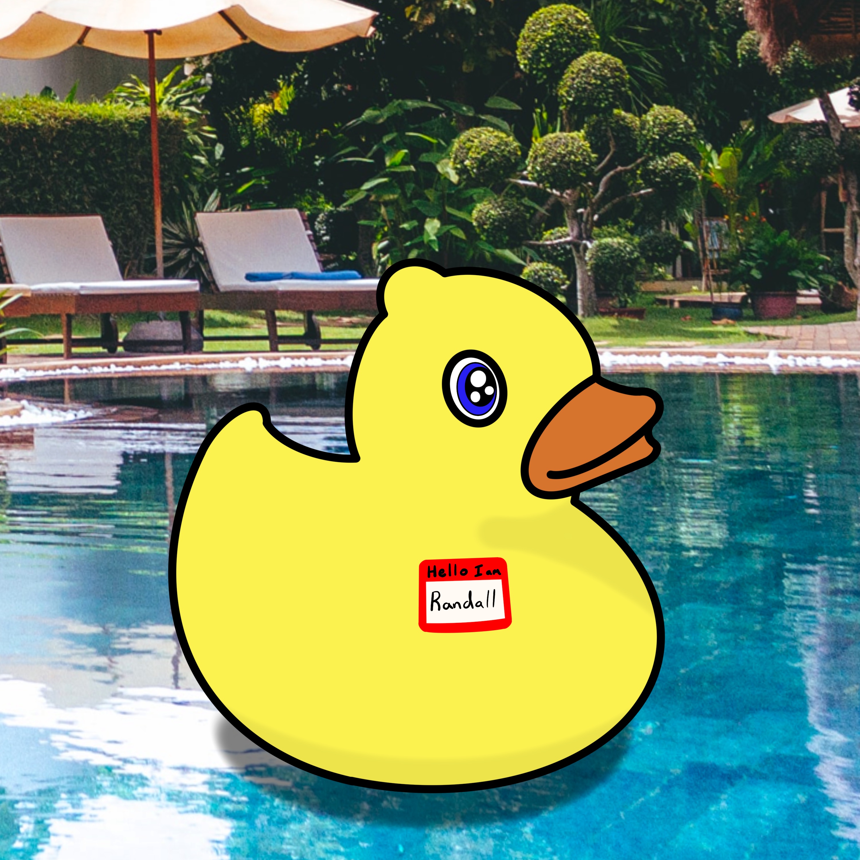 The Rubber Ducks: Randall NFT on Algorand