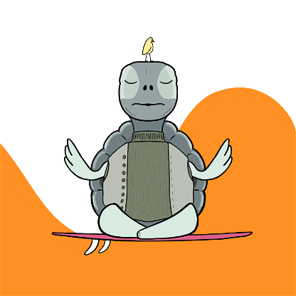 Zen Turtle 0045