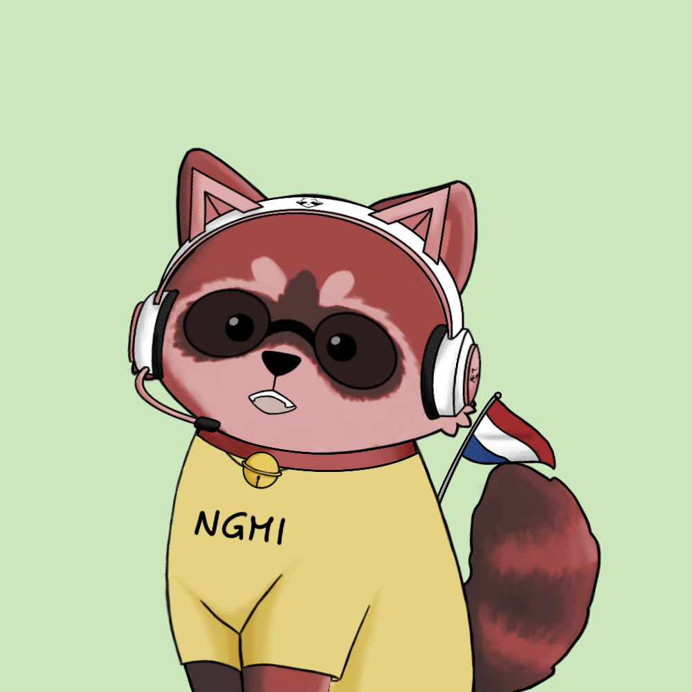Raccoon #547 NFT on Algorand