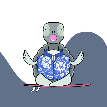 Zen Turtle 0168