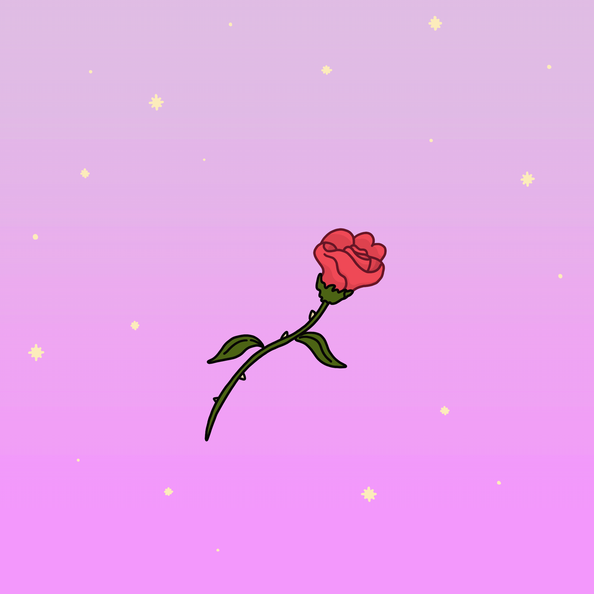 Valentine's Rose