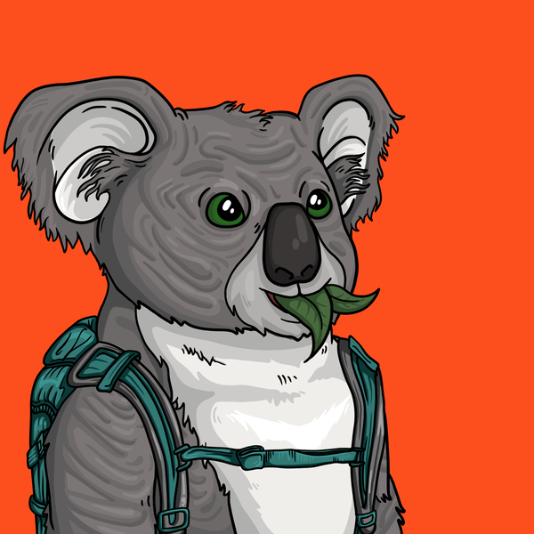 An image of Wildlife Warrior Koala #1754