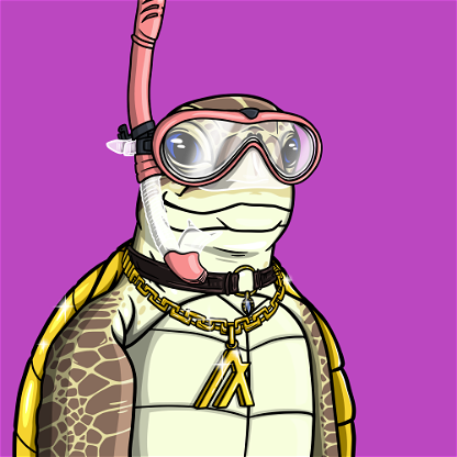 Wildlife Warrior Turtle #378