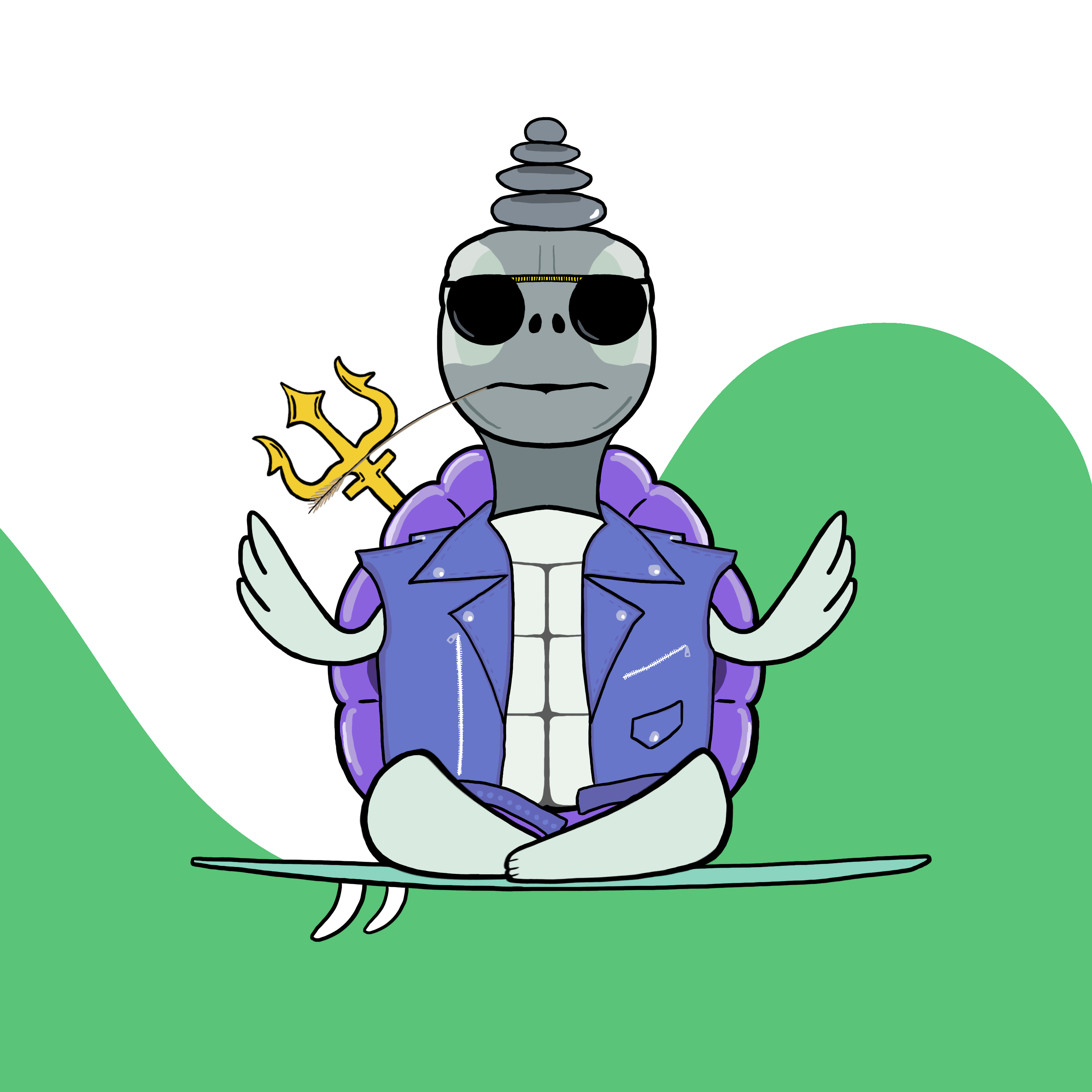Zen Turtle 0079 NFT on Algorand