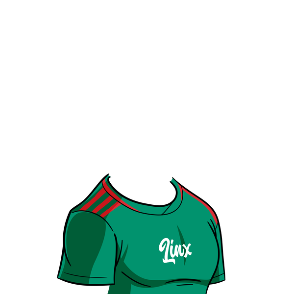 An image of Mexico Jersey