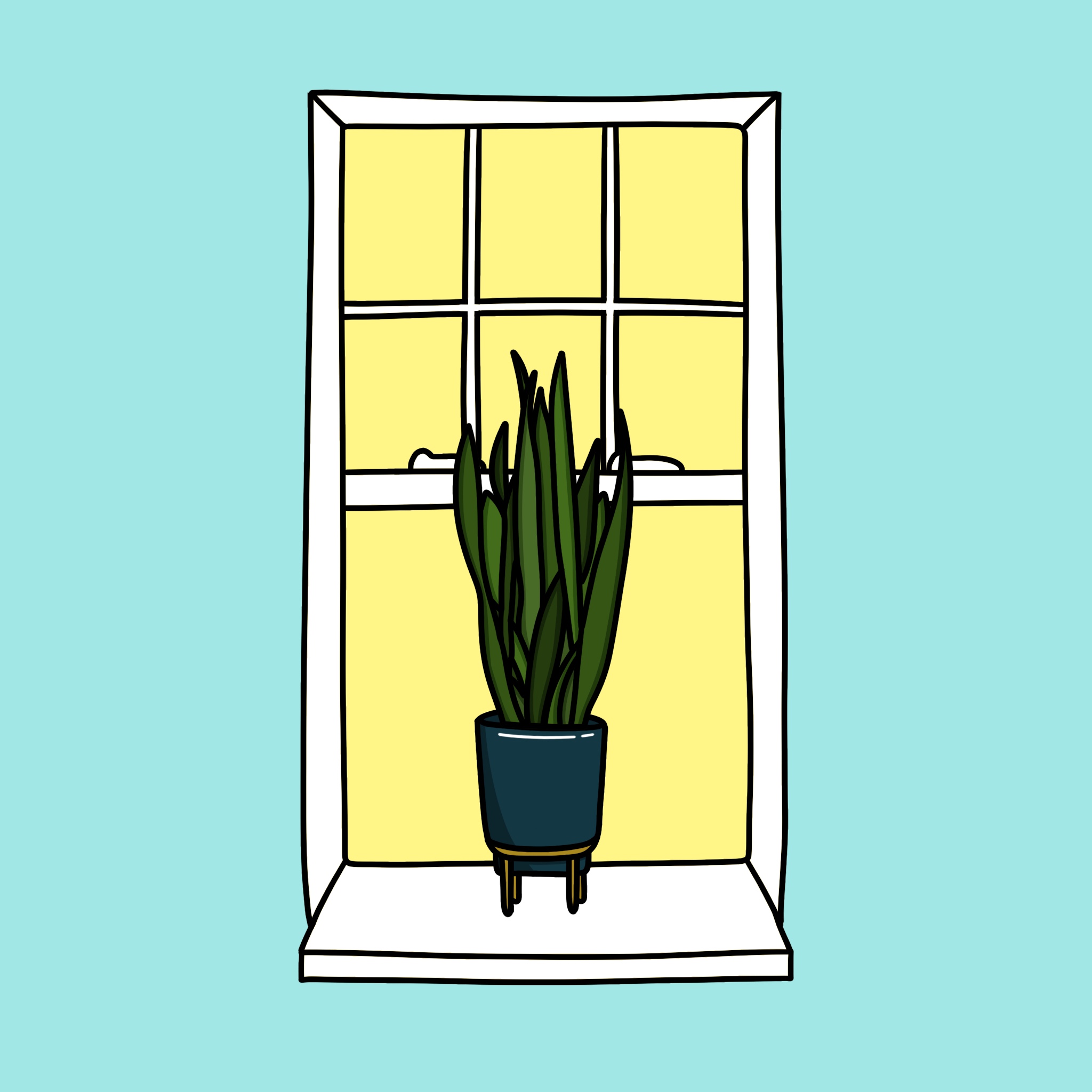Algo House Plant #0010 NFT on Algorand