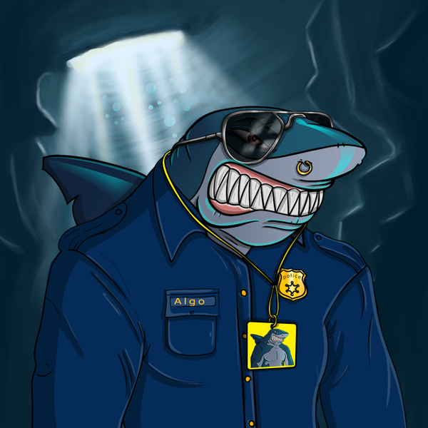 An image of AlgoShark #11