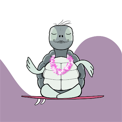 Zen Turtle 0051