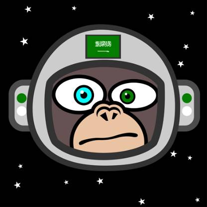 Space Monkey Saudi Arabia