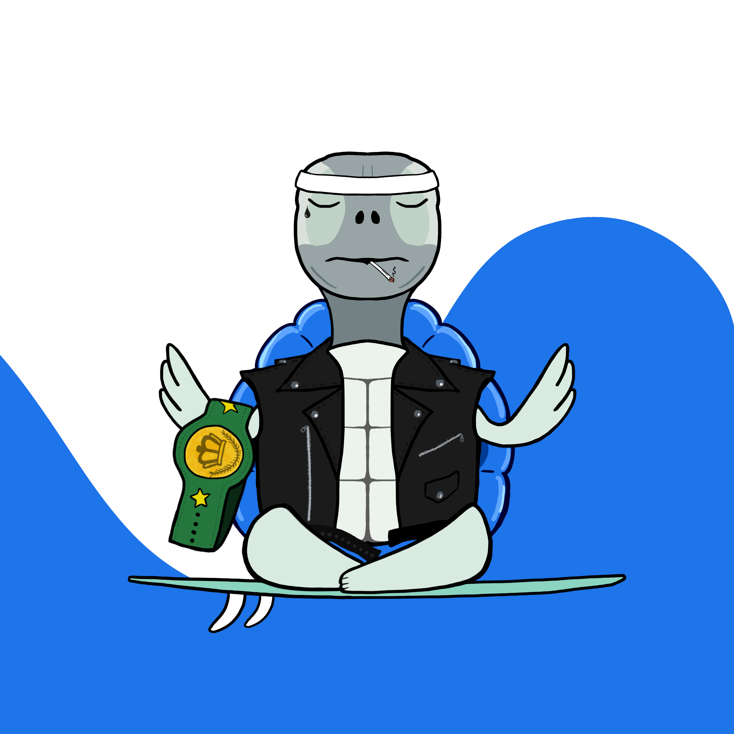 Zen Turtle 0007 NFT on Algorand