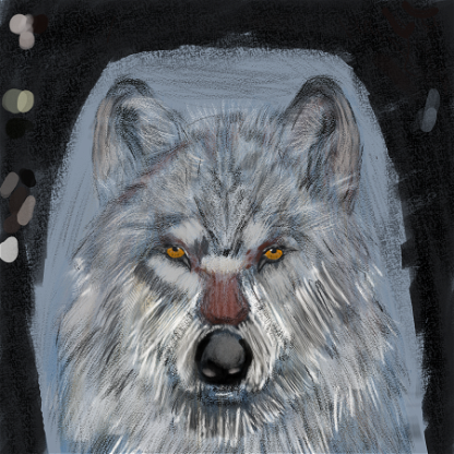 A Wolf (digital pencil)