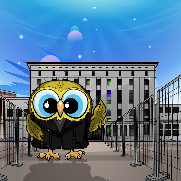 Image of cryptOOwl 036