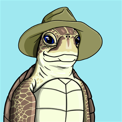Wildlife Warrior Turtle #471