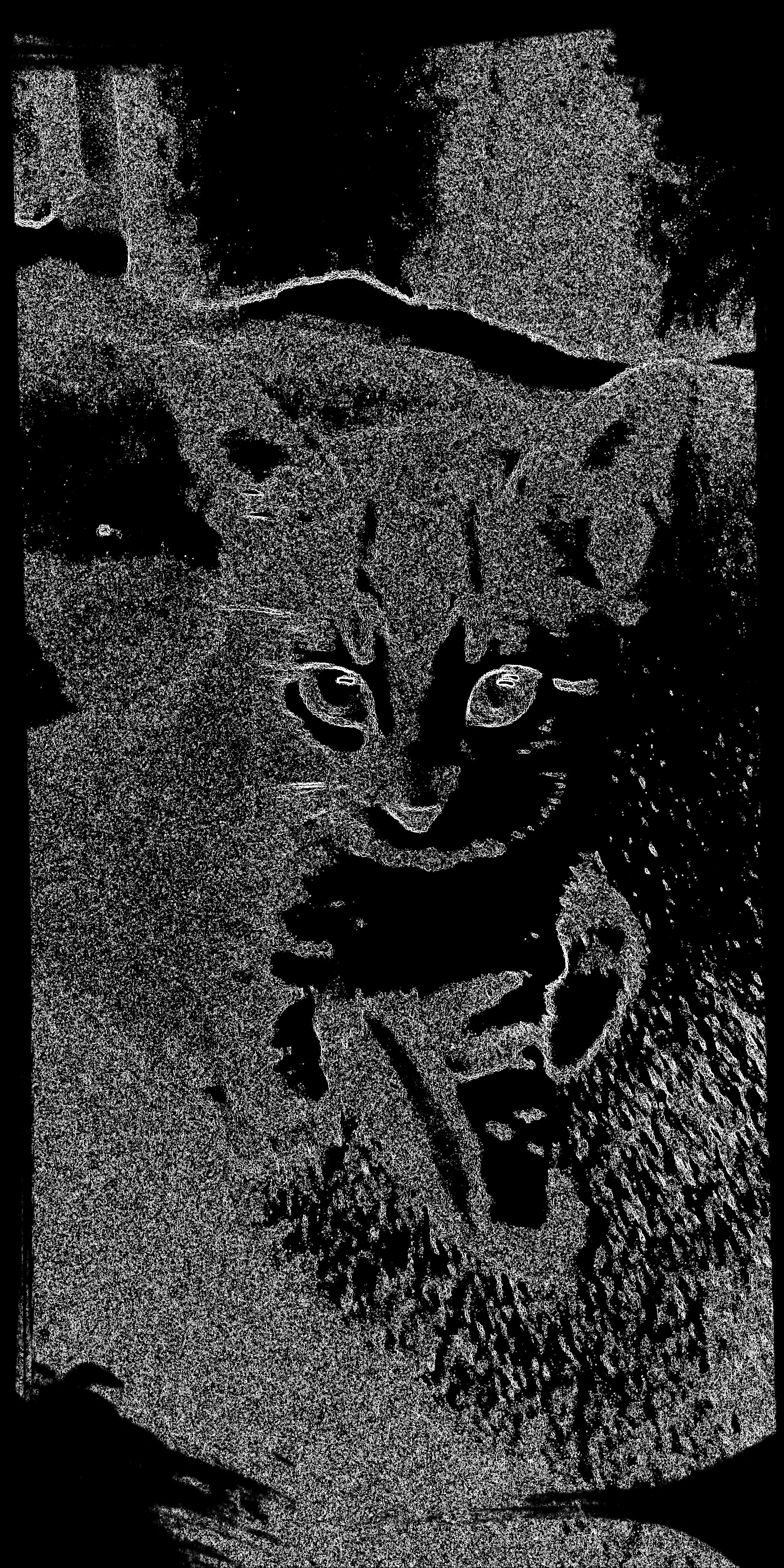 KittehArt #2 icon