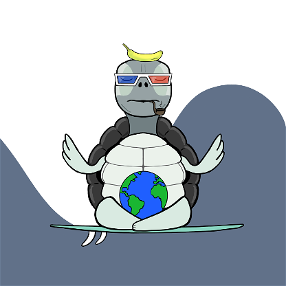 Zen Turtle 0091