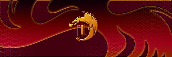 An image of DragonFi Banner