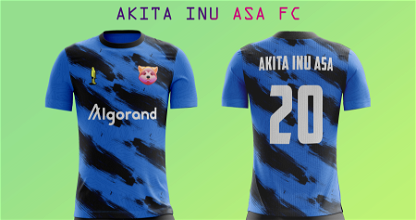 Akita Inu ASA FC Home kit #20