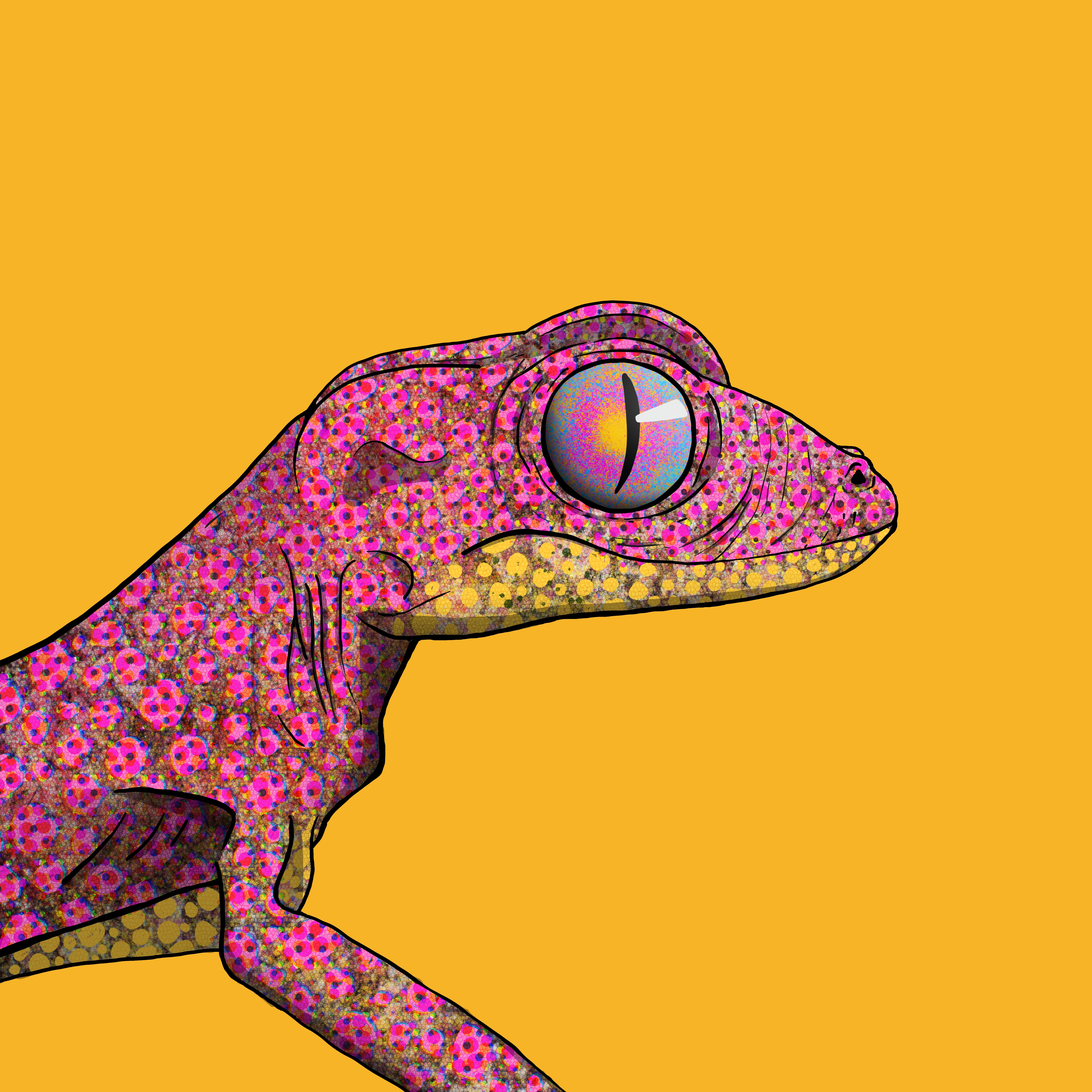 Geko 0369 NFT on Algorand