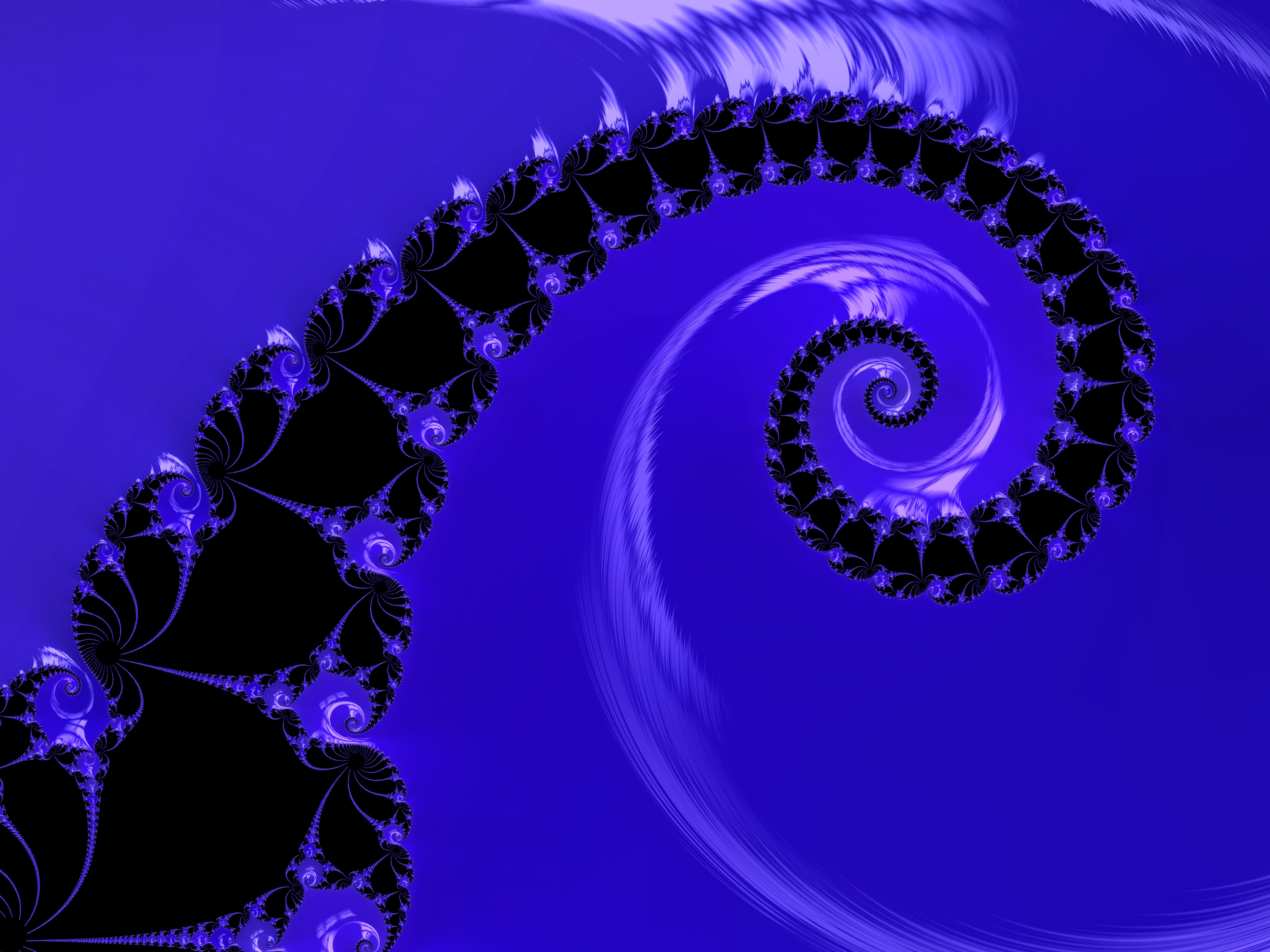 Mandelbrot´s To Go NFT on Algorand