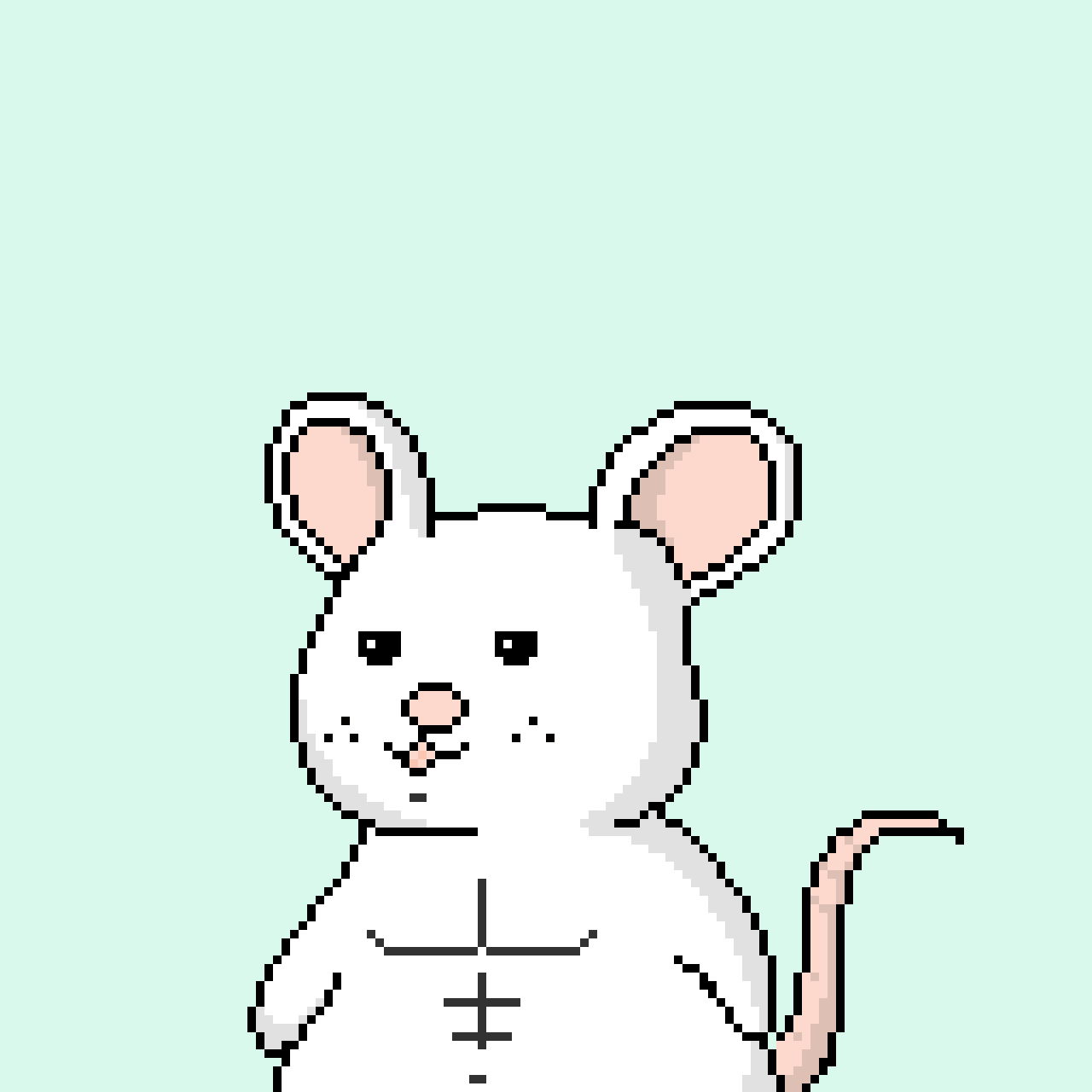 Pizza Pal 234 NFT on Algorand