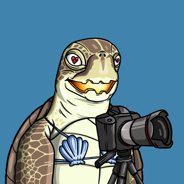 Image of Wildlife Warrior Turtle #33