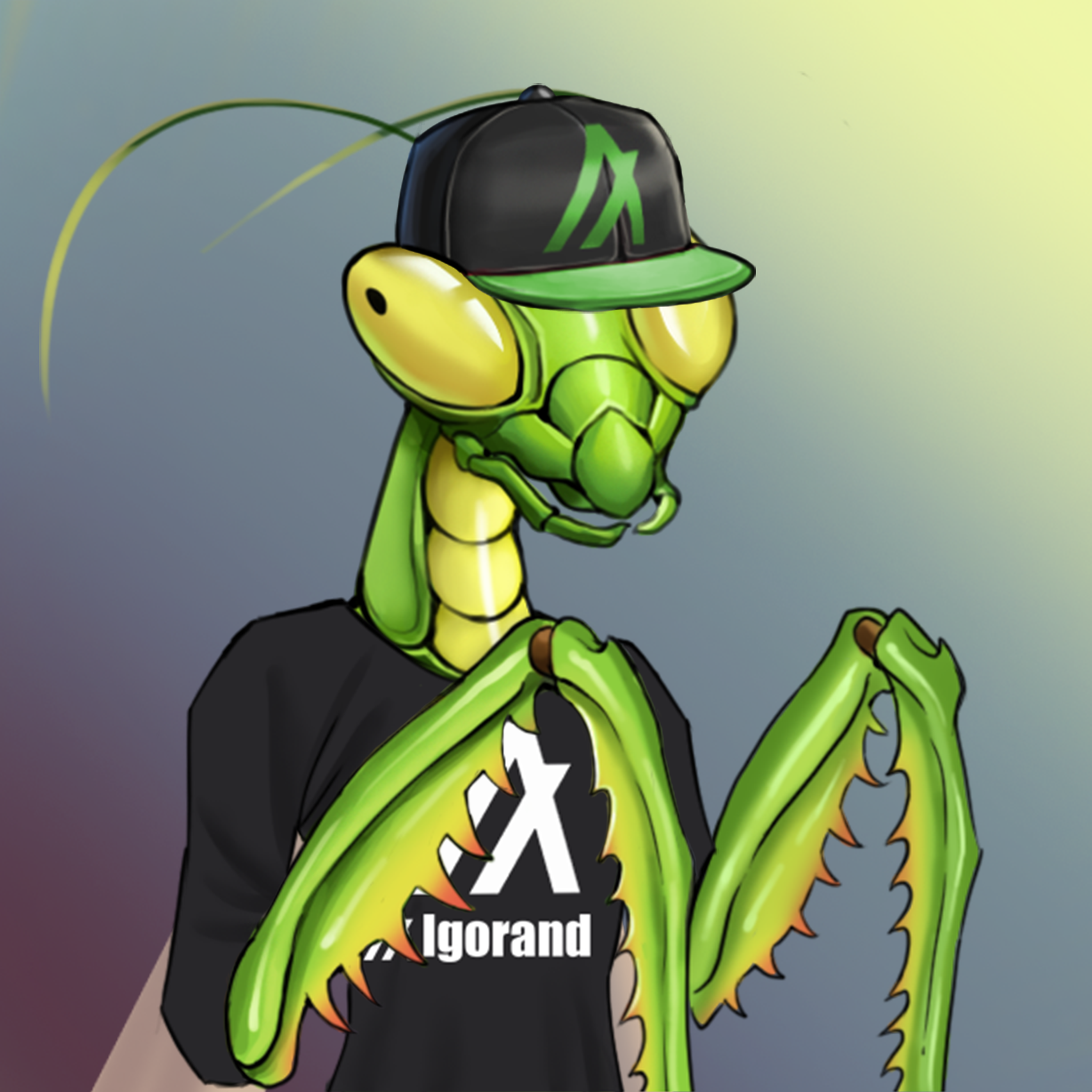Mantis 378 NFT on Algorand