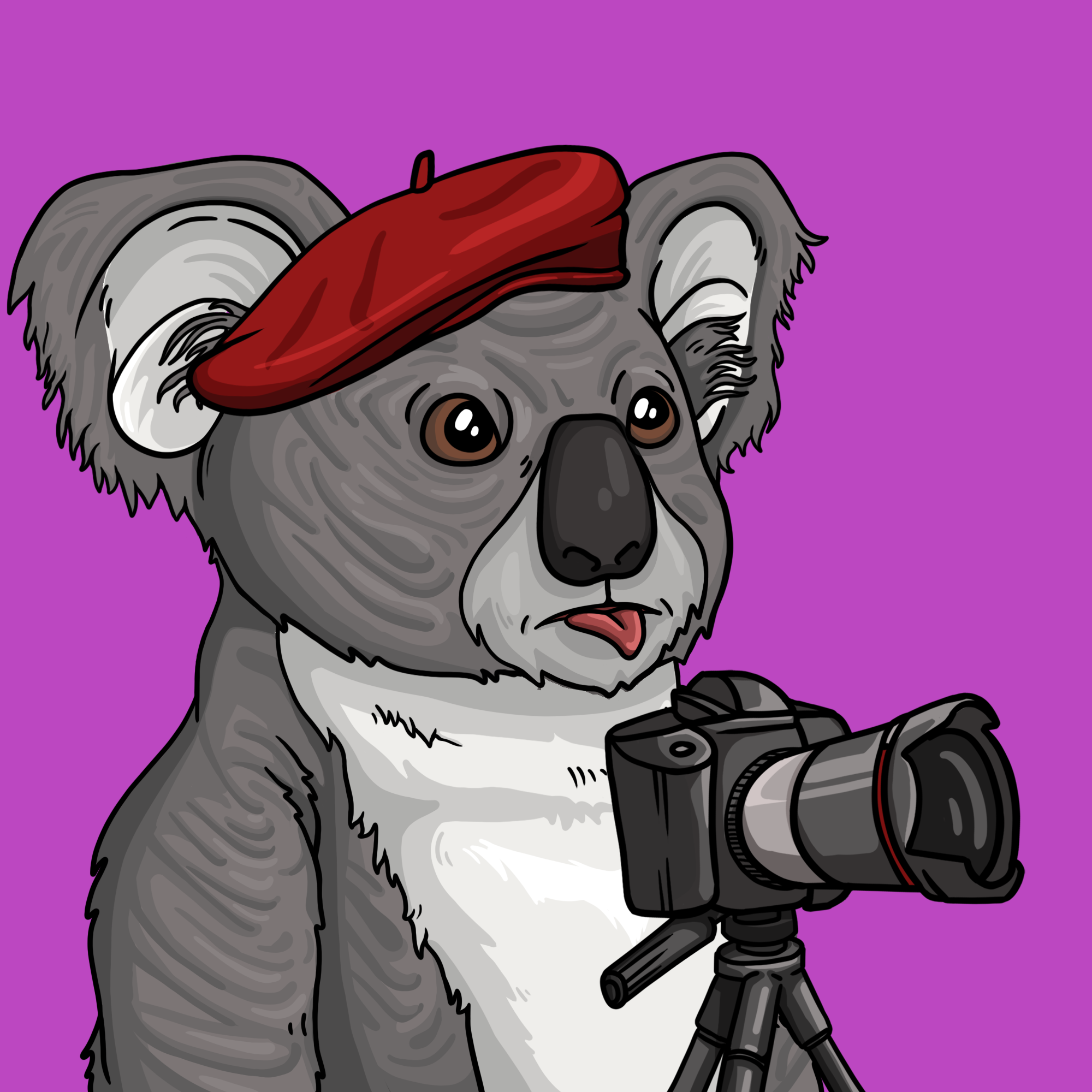 Wildlife Warrior Koala #267 NFT on Algorand