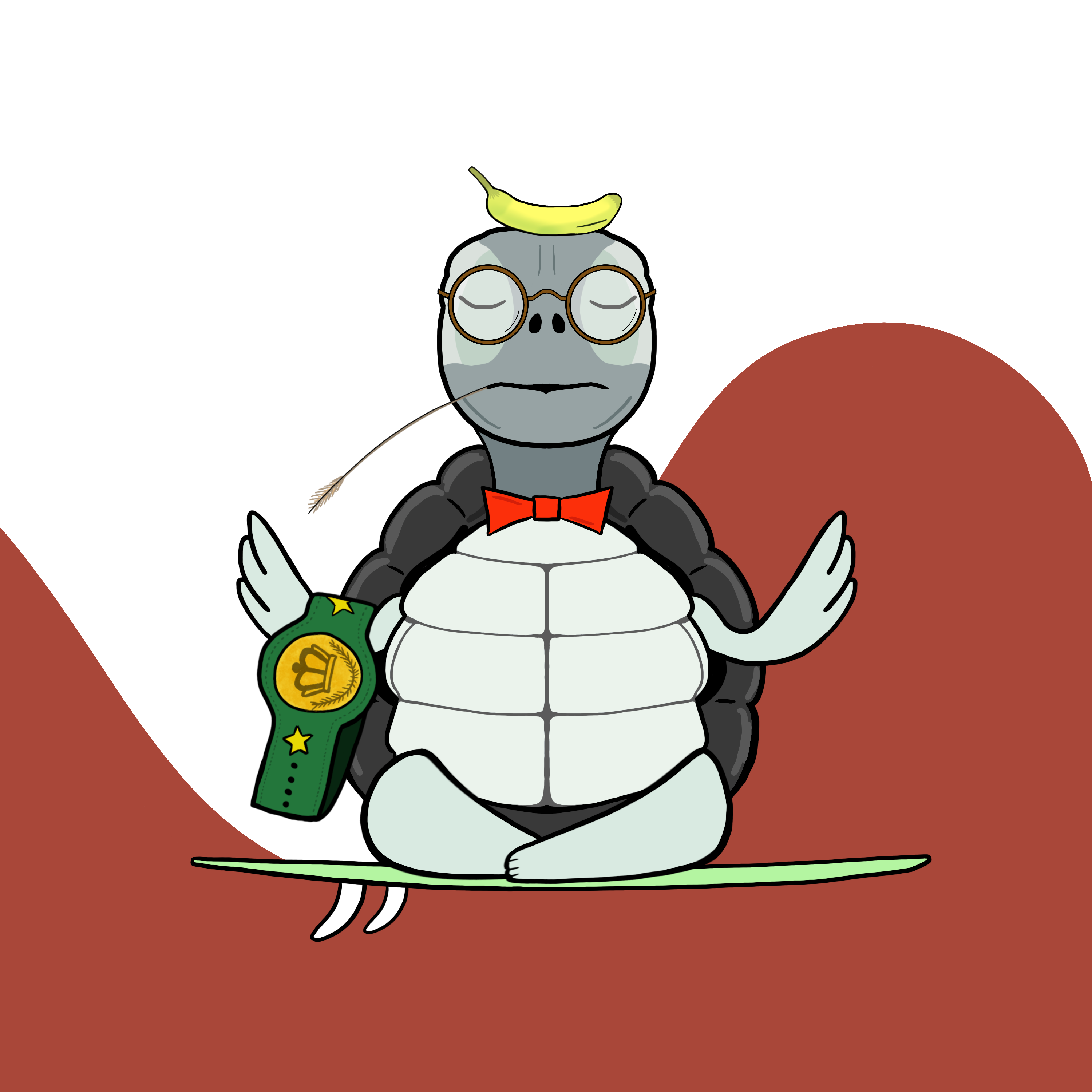 Zen Turtle 0165 NFT on Algorand