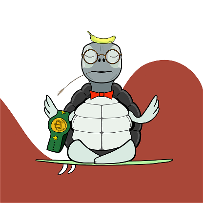 Zen Turtle 0165