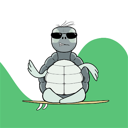 Zen Turtle 0075