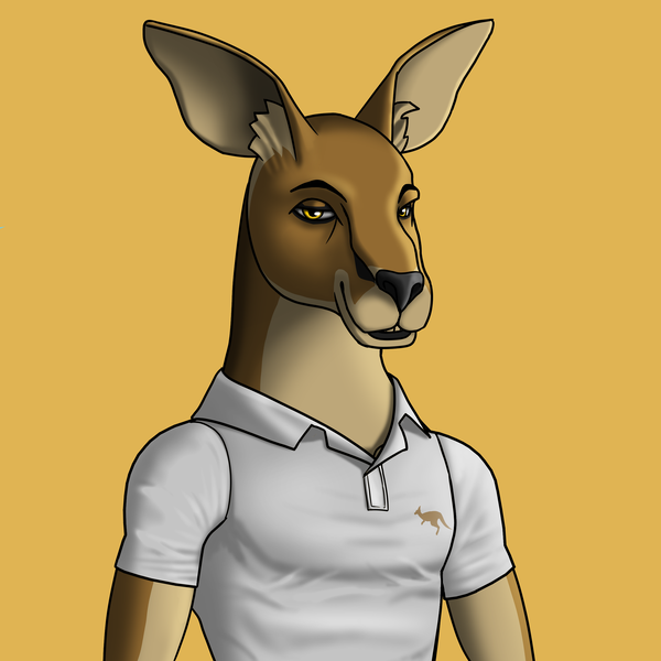 An image of AlgoKangaroo #14