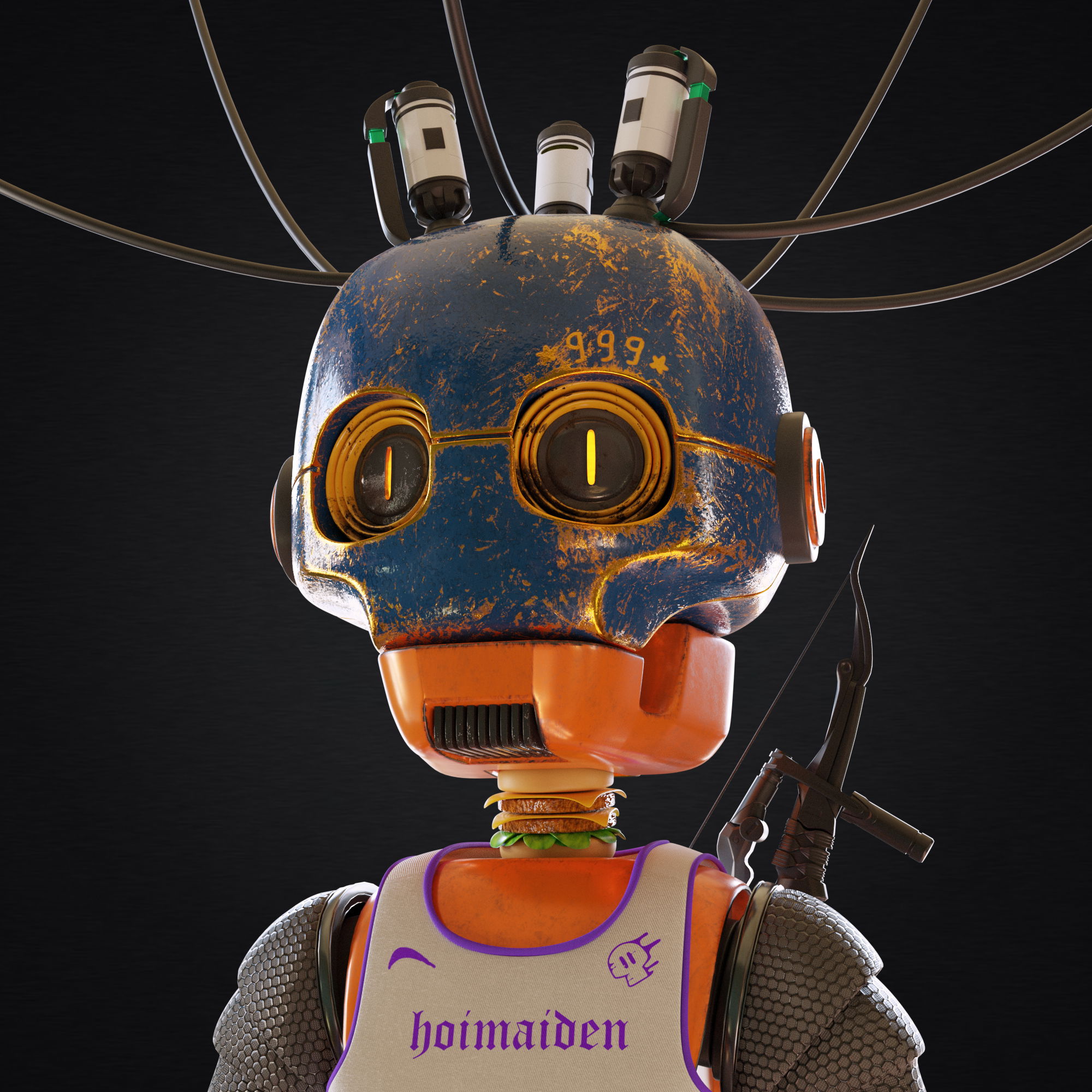 Hoimaiden #789 NFT on Algorand