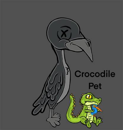 Crocodile Pet