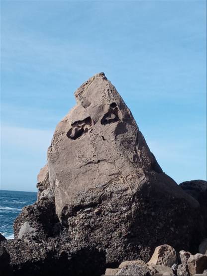 Sonoma Rock Face