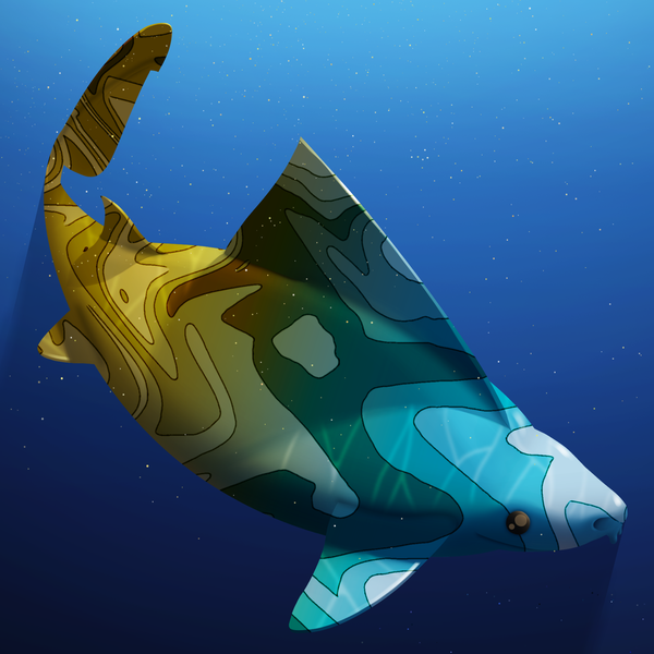 Image of AOShark 026