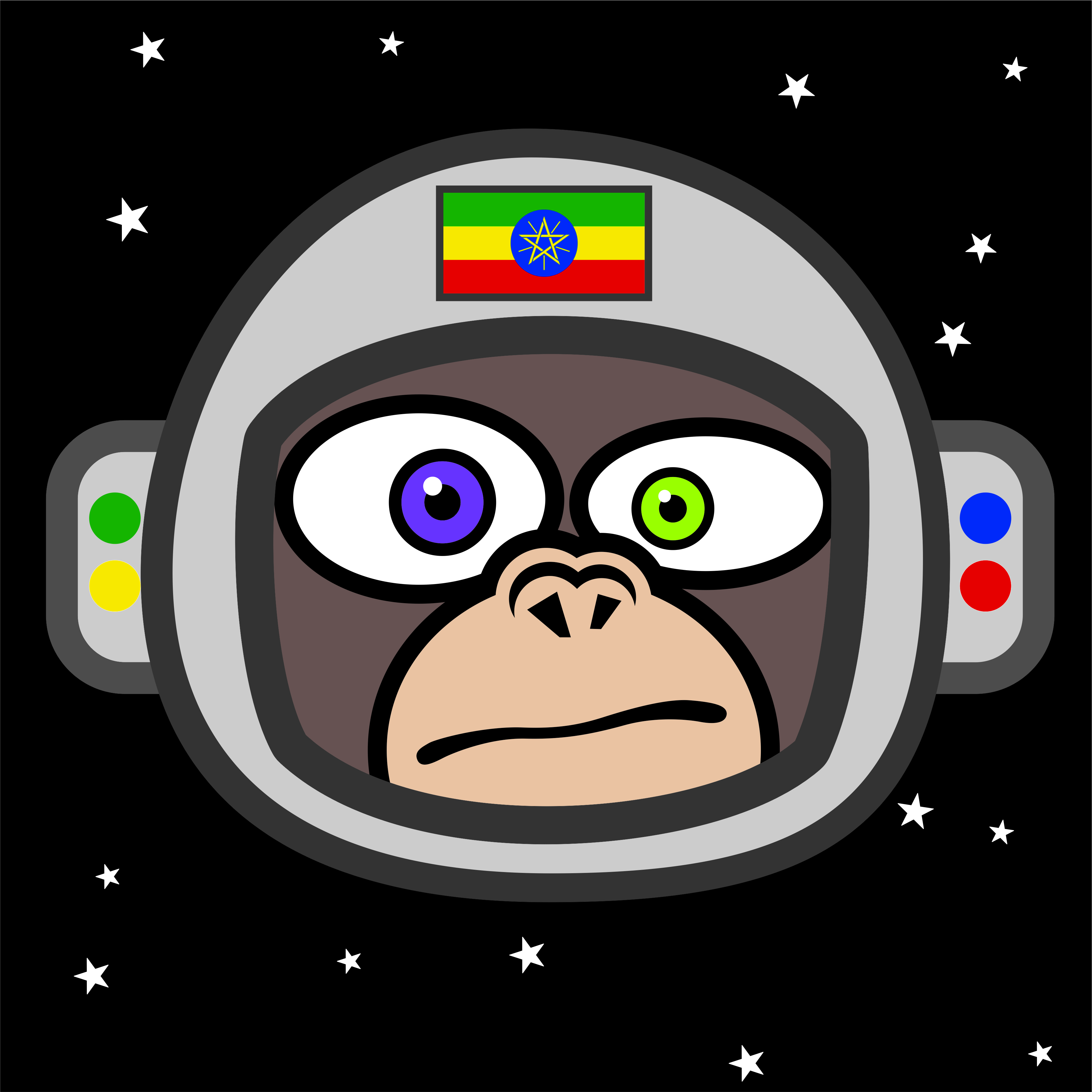 Space Monkey Ethiopia NFT on Algorand
