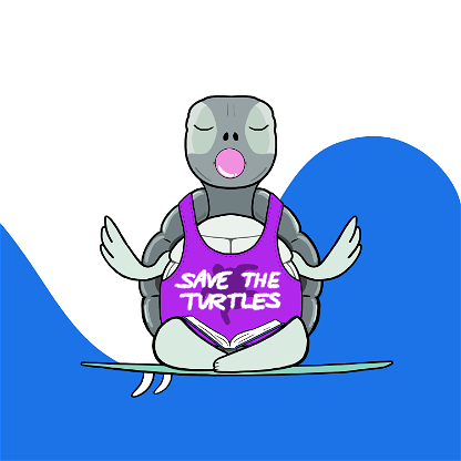 Zen Turtle 0085