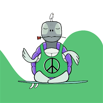 Zen Turtle 0049