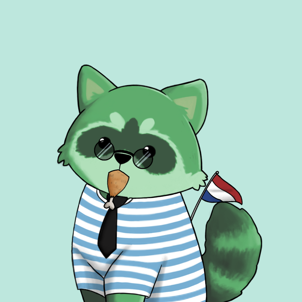 Raccoon #25 NFT on Algorand