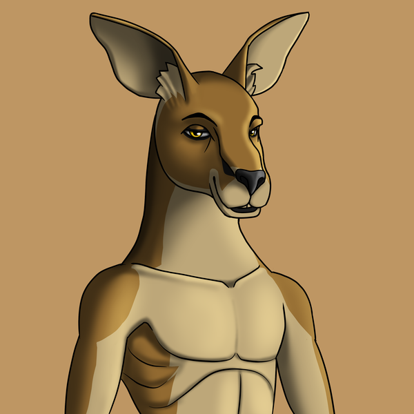 AlgoKangaroo's avatar