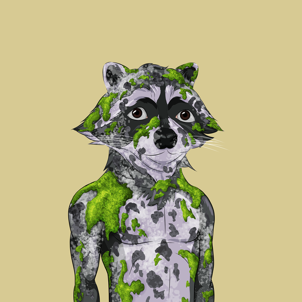 An image of AlgoRaccoon #4