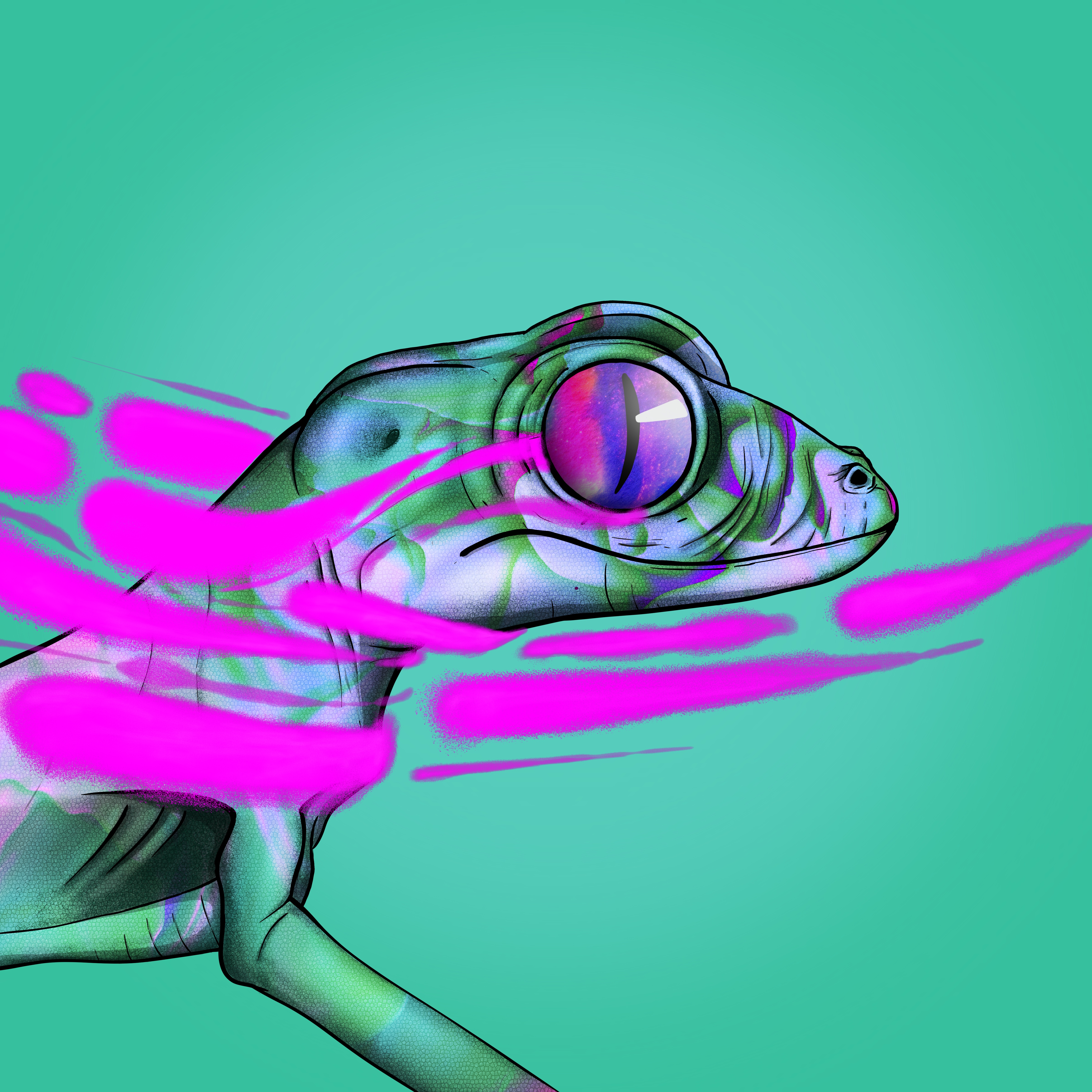 Geko 0451 NFT on Algorand