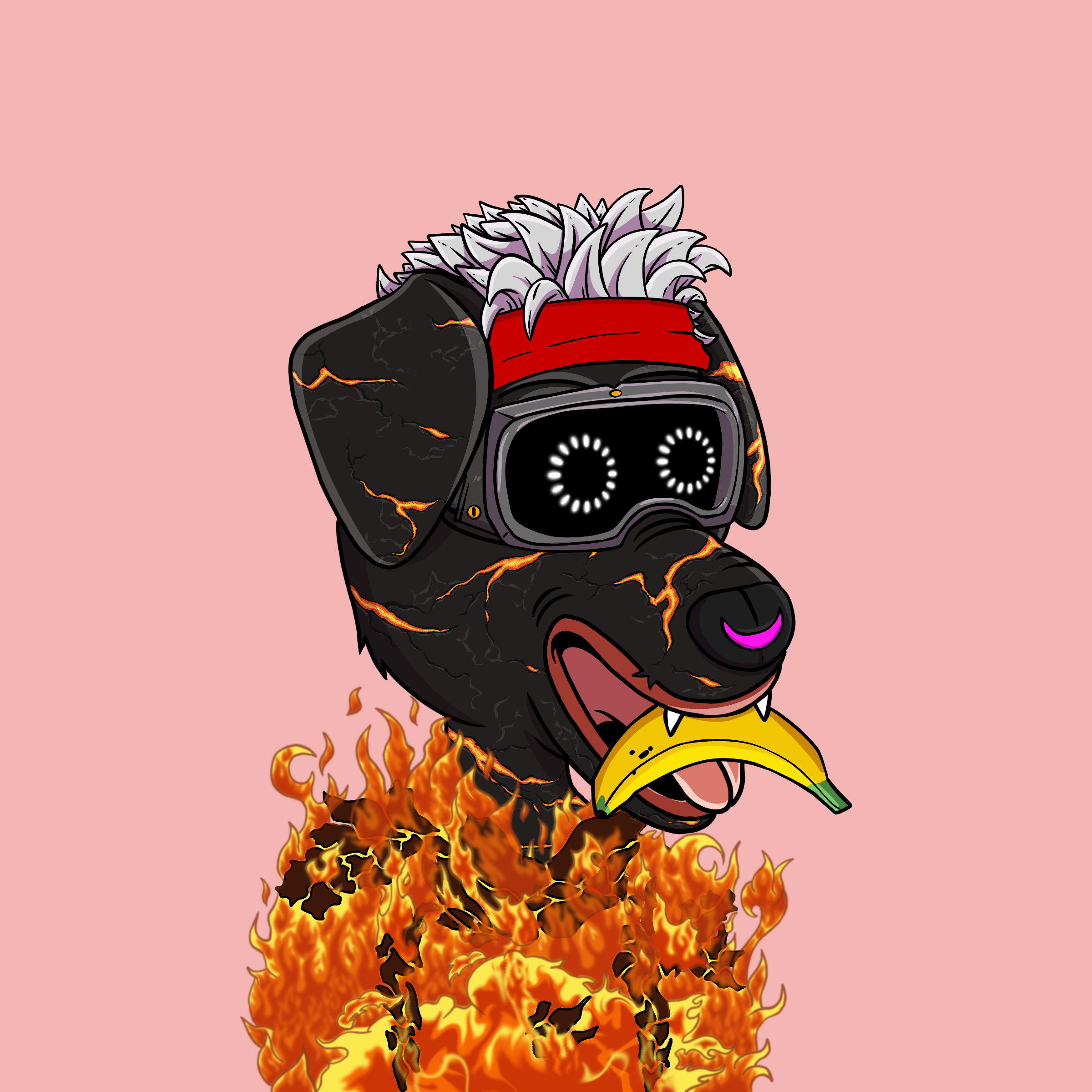 DOTSight #1218 NFT on Algorand