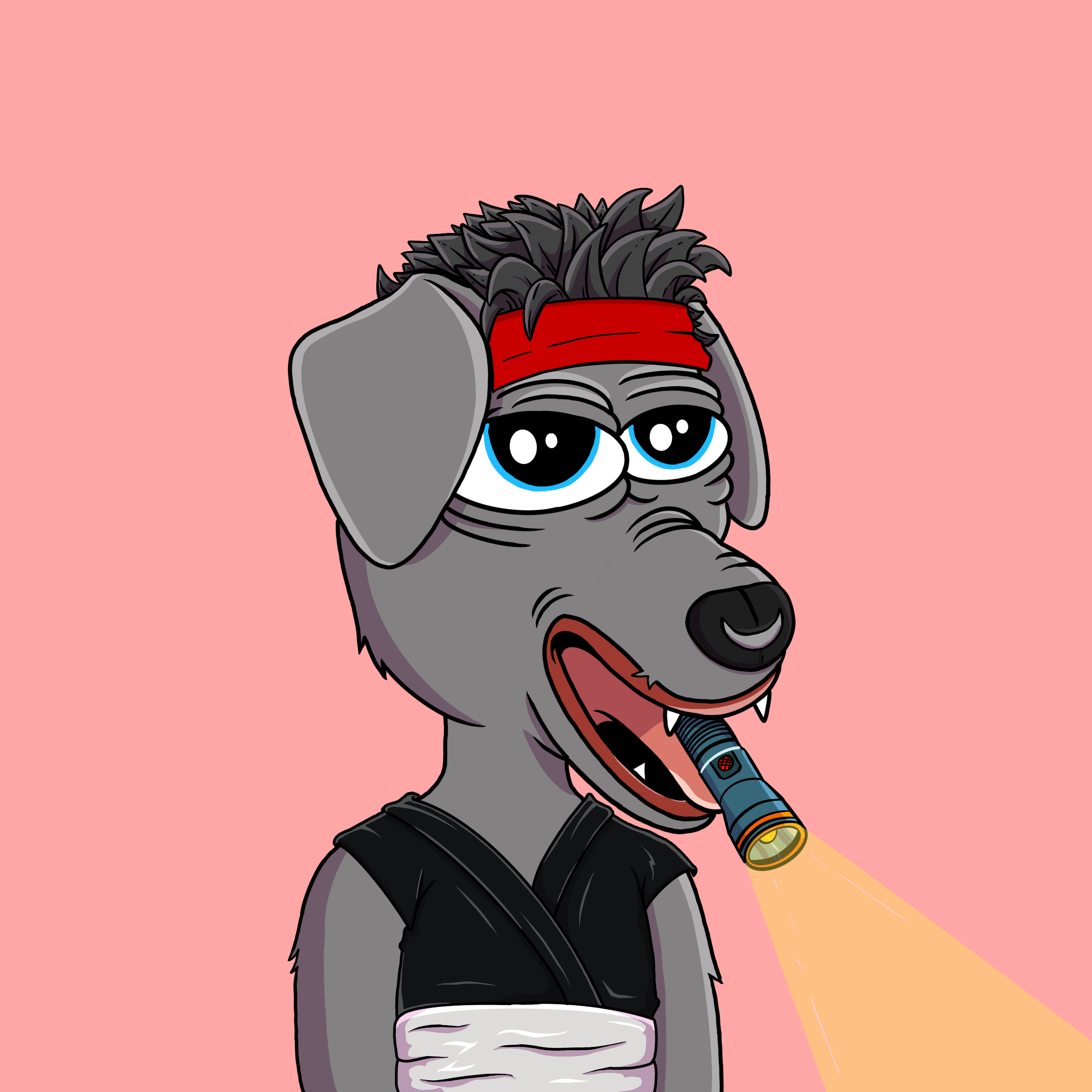 DOTSight #1618 NFT on Algorand