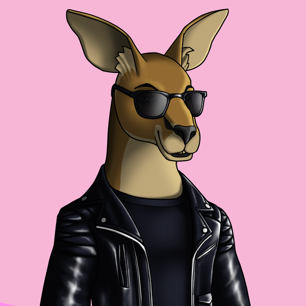 An image of AlgoKangaroo #4