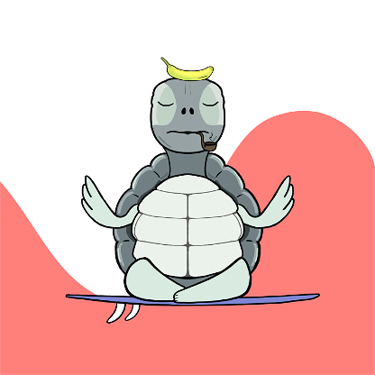 Zen Turtle 0155