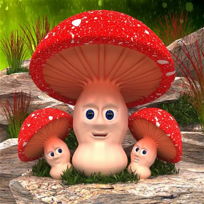 The Mushroom 1